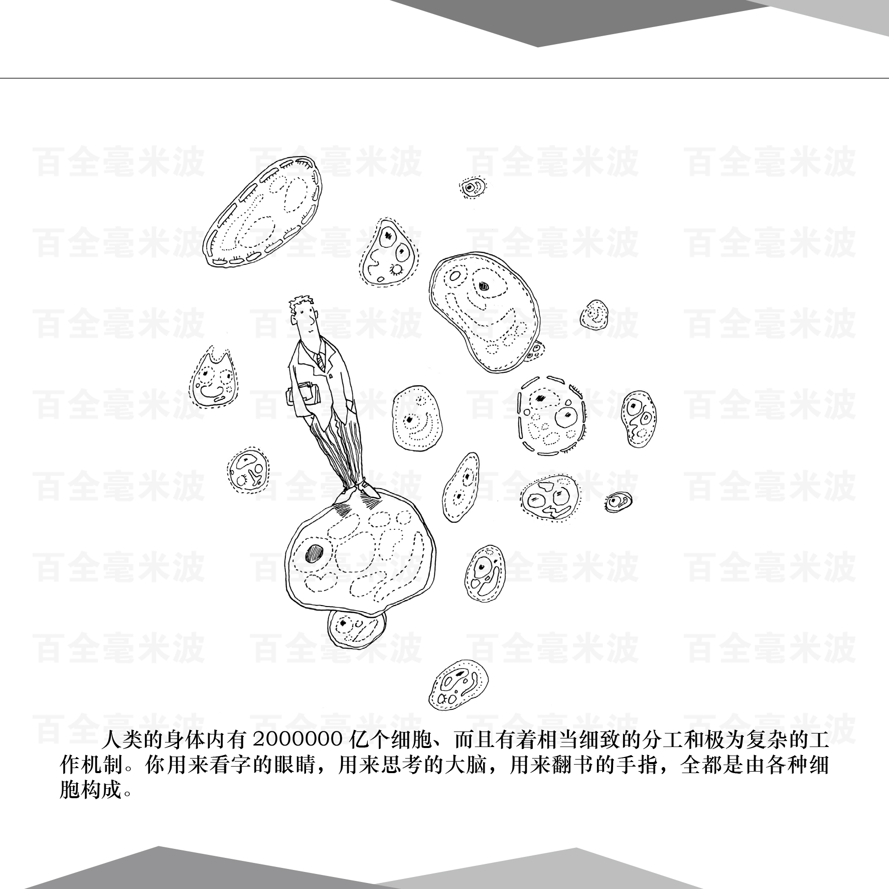 百全毫米波療法漫畫(huà)集